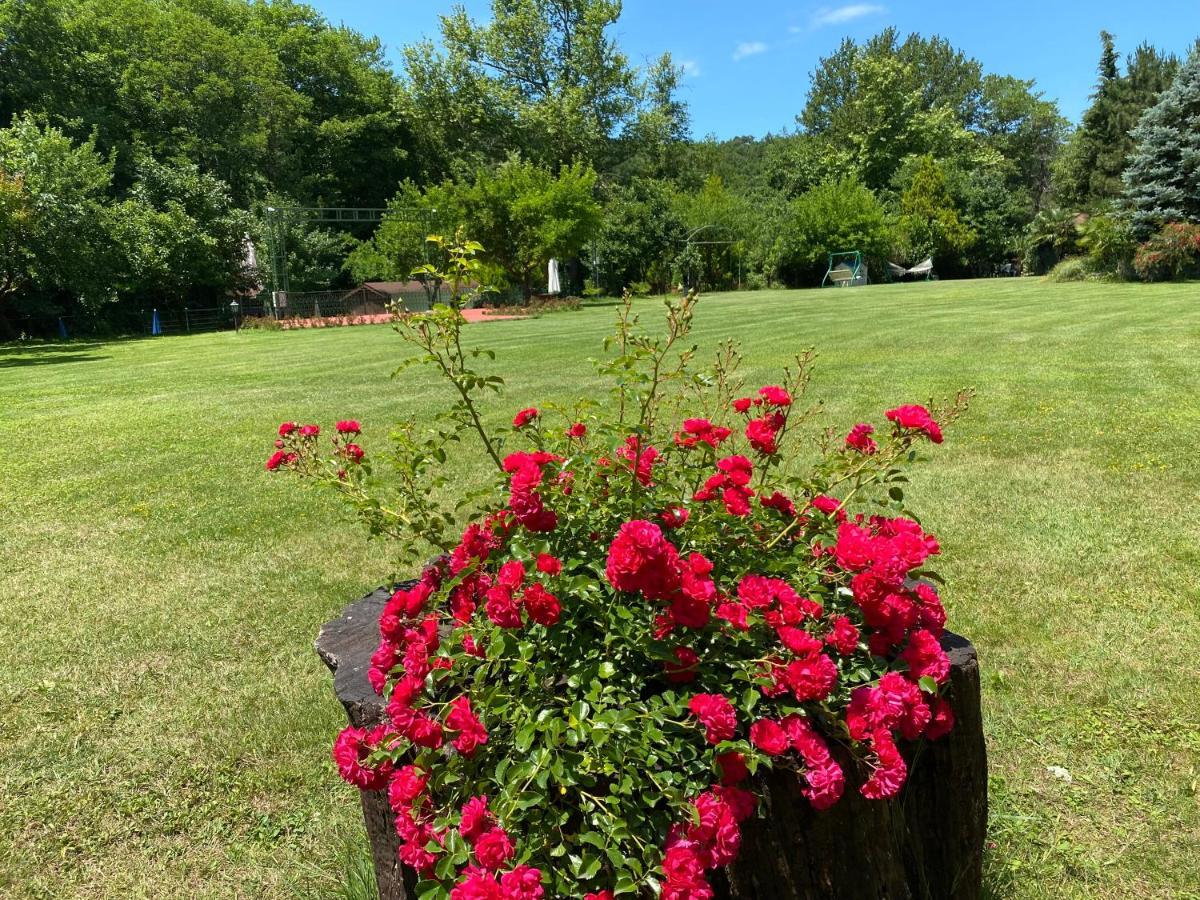 Ağva Sarikonaklar Garden Village מראה חיצוני תמונה